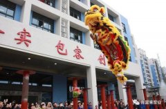 醒狮贺岁，开云手机官方入口_开云(中国)2019年开工大吉